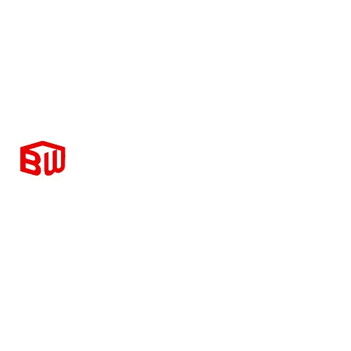 Logo for Brainworks