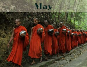 monks, red robes, walking, nature